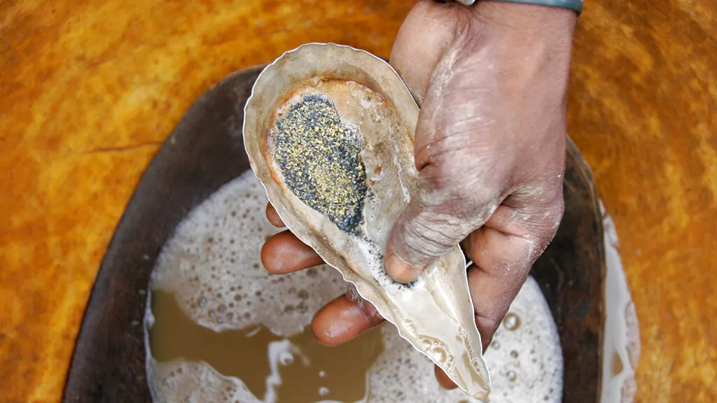 Mali: Director of Australian gold company arrested