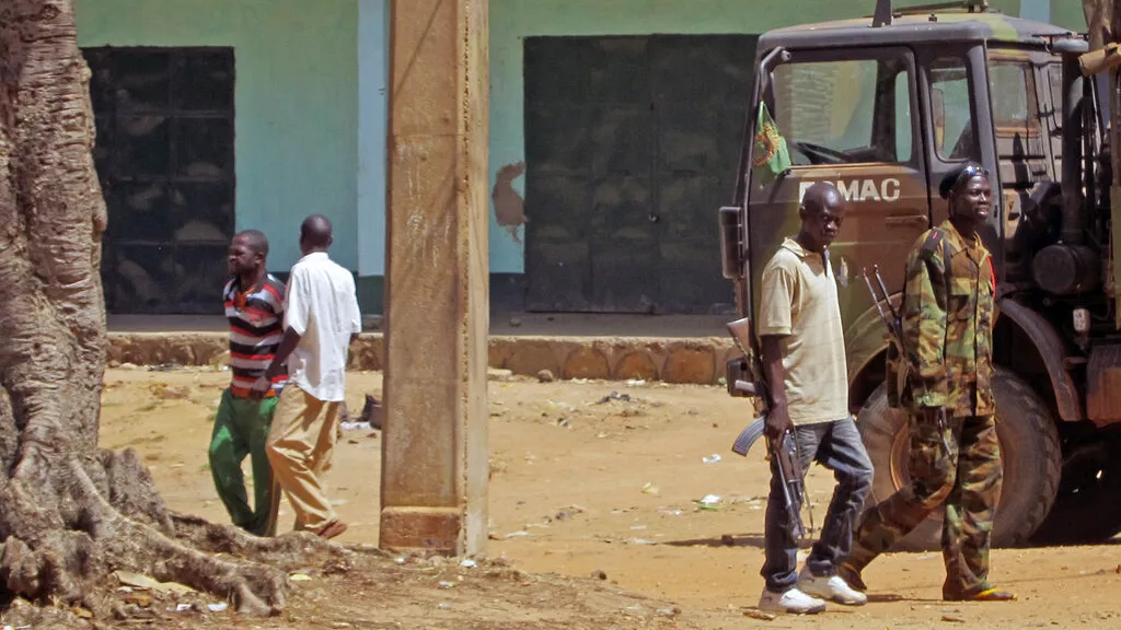 Central African Republic: 10 dead in ambush near diamond mine