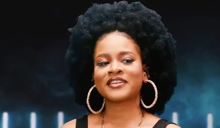 I was denied entry into a restaurant due to my outfit – BBNaija star Phyna