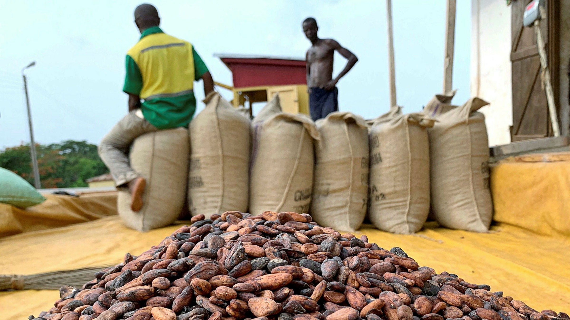 Ghana gains one-year EU deforestation grace period, but galamsey concerns loom