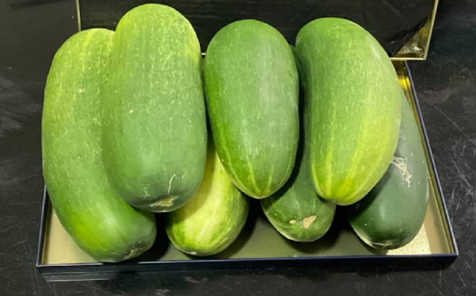 Cucumbers – Making the most of them