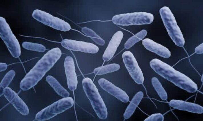 Cholera outbreak: Death toll hits 37