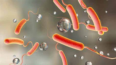 Agona West: 11 cholera cases recorded
