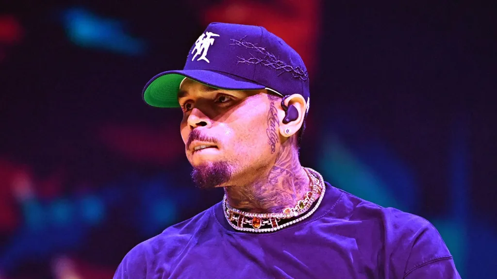 Chris Brown sues Warner Bros over documentary’s sex assault claims