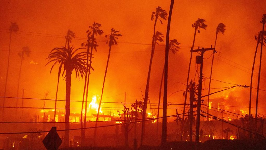 LA wildfire reportedly engulfs school made famous by Hollywood