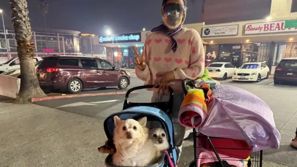 Where do I go?’ Chaos on Hollywood streets as people flee flames