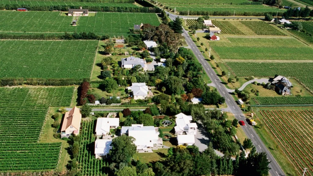 British tourist dead, three injured in New Zealand