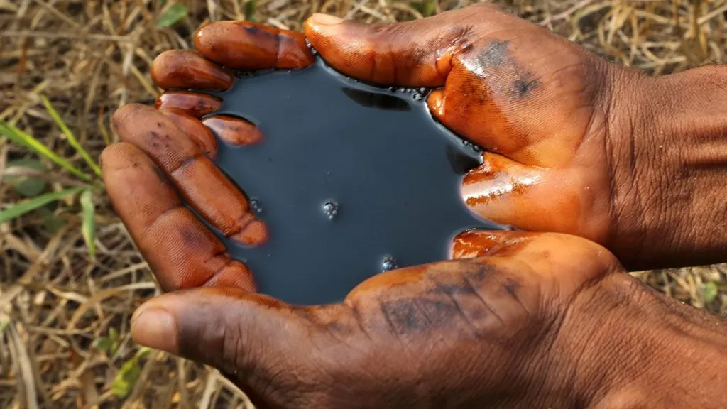 Oil clean-up ‘scam’ warnings ignored by Shell, whistle-blower tells BBC